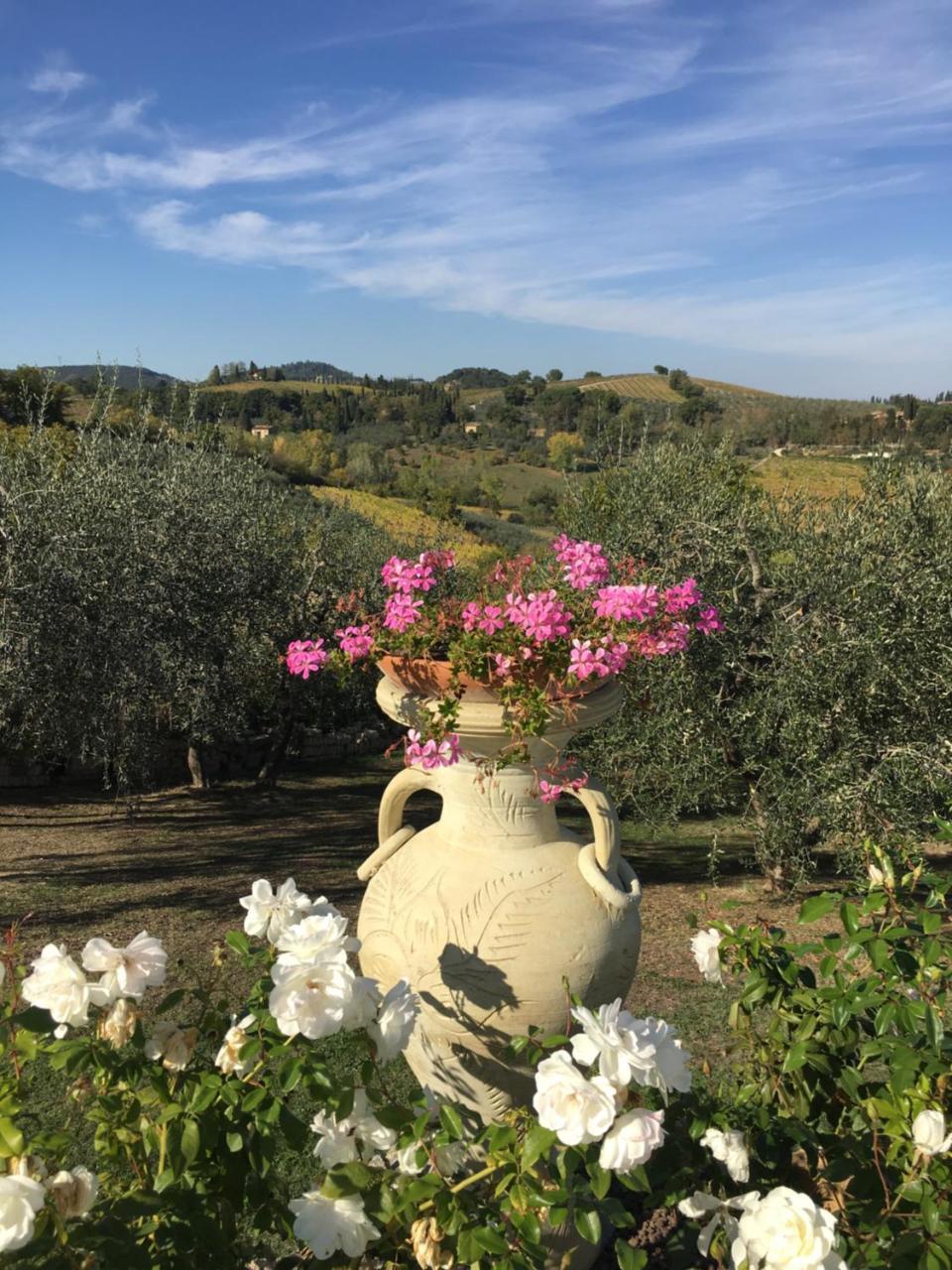 Podere Bellavista Сан Джиминяно Екстериор снимка