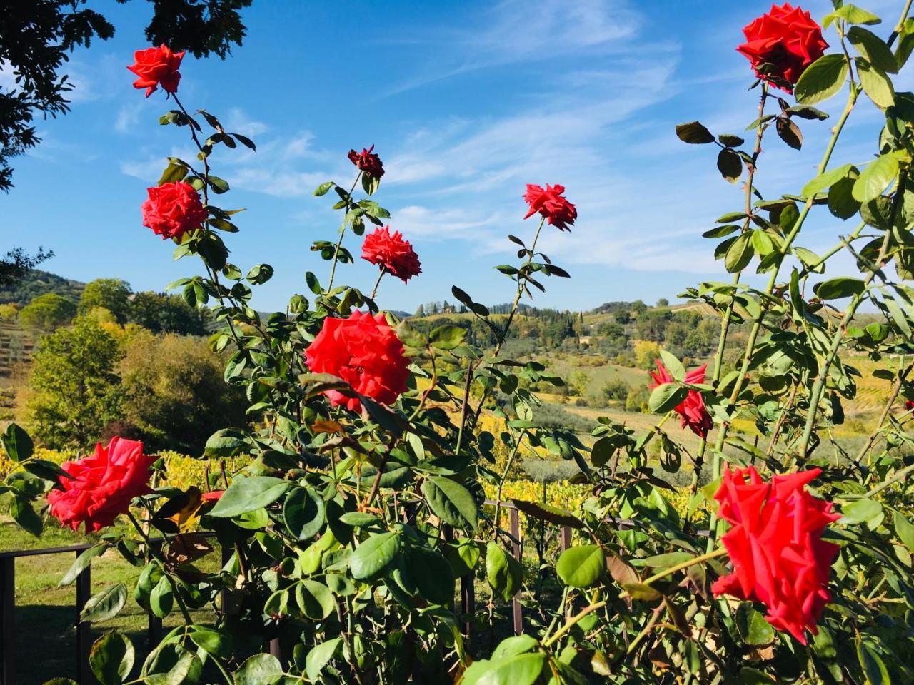 Podere Bellavista Сан Джиминяно Екстериор снимка