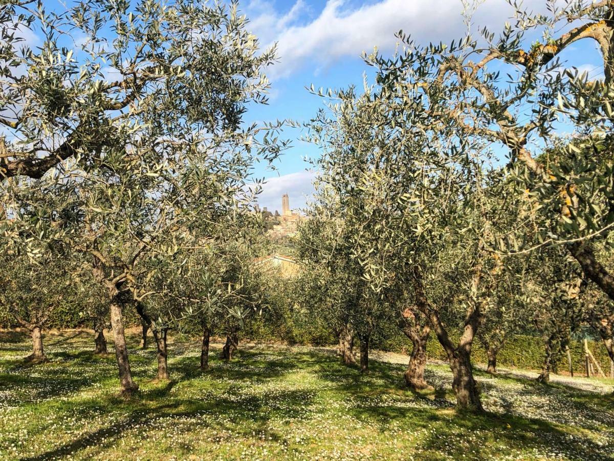 Podere Bellavista Сан Джиминяно Екстериор снимка